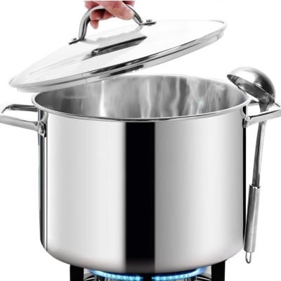 12Qt Nickel-Free Stainless Steel Stock Pot with Glass Lid